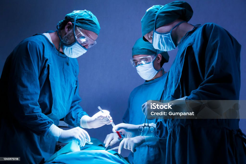 Orthopaedic Surgery - Image 2